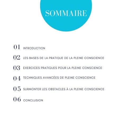 Sommaire - Guide pleine conscience Coach de vie - Harmonie et Bien-Être