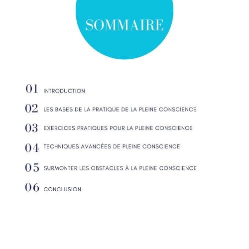 Sommaire - Guide pleine conscience Coach de vie - Harmonie et Bien-Être